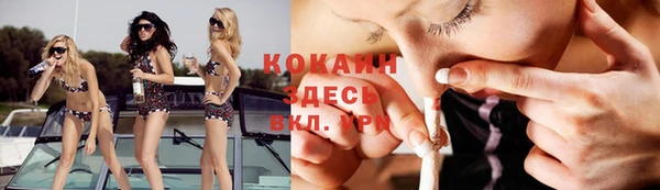 трава Аркадак