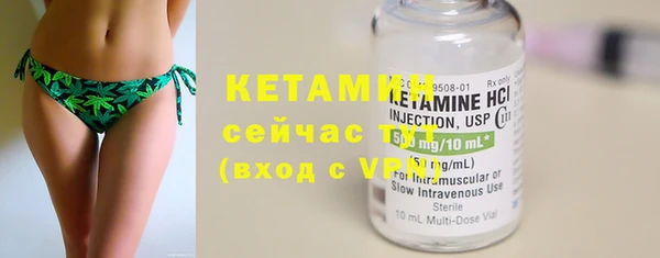 трава Аркадак